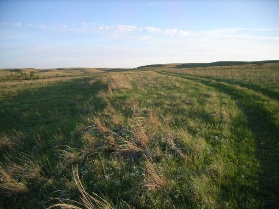 Picture10